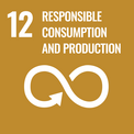 SDG12 – Responsible Consumption and Production