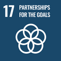 SDG17 – Partnerships for the Goals